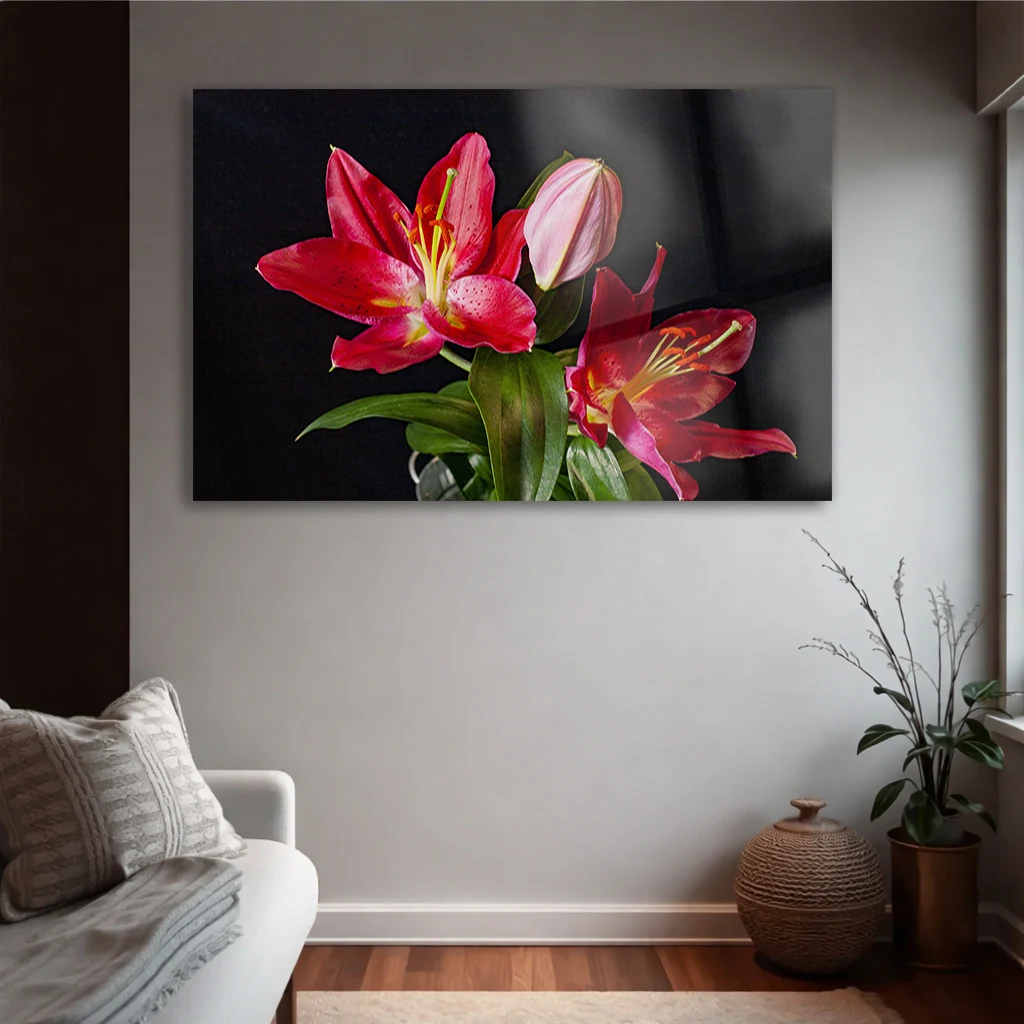 Siyah Fon Canlı Pembe Lilyum Yatay Temperli Cam Tablo