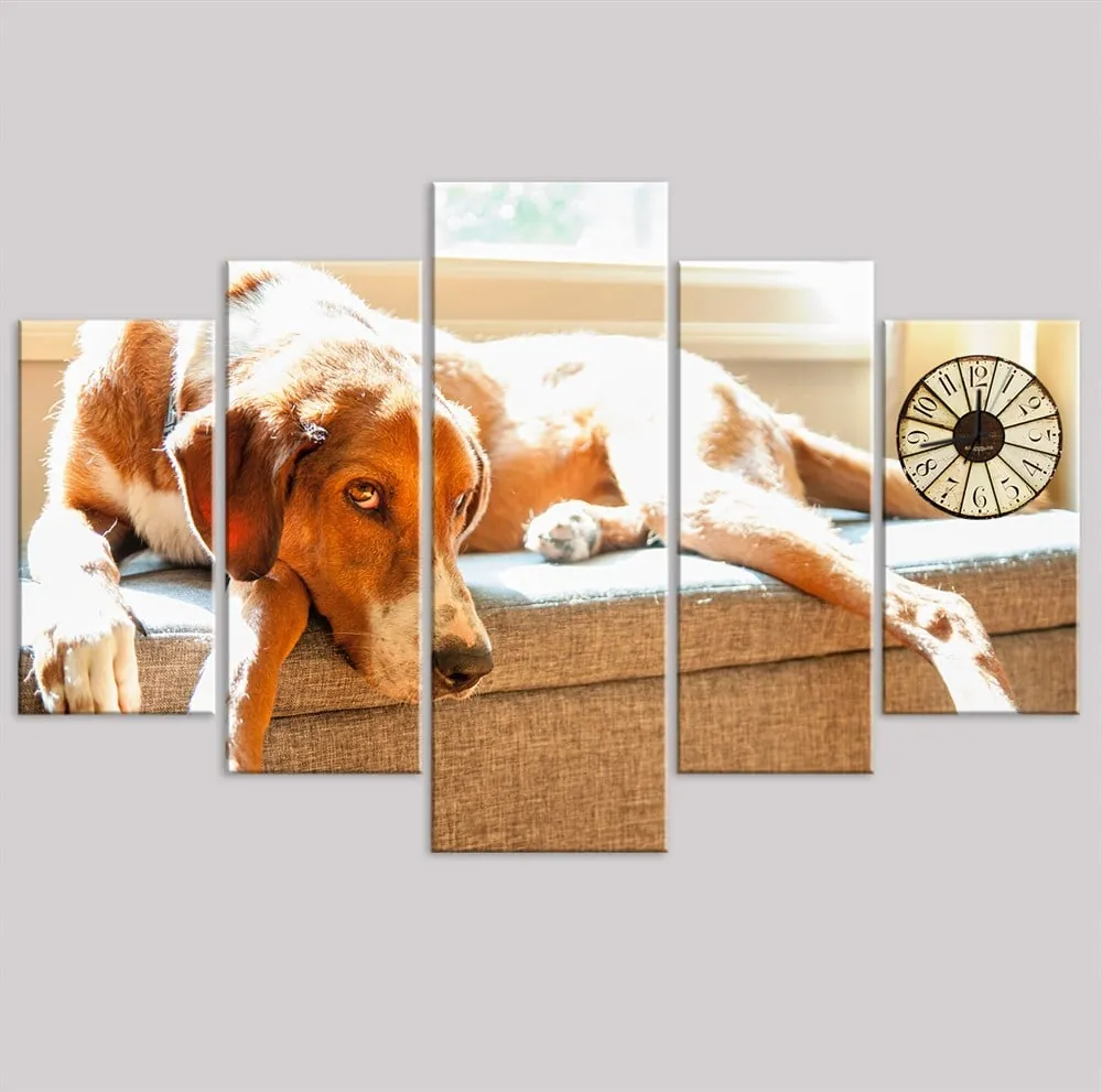 Köpekli Dekoratif 5 Parça Kanvas Tablo