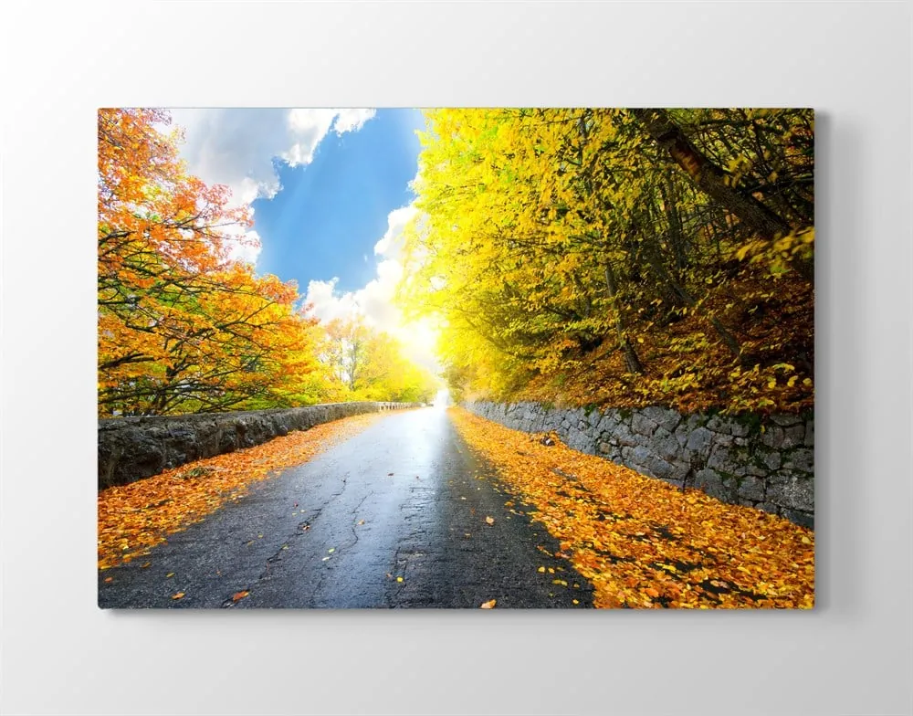 Sonbahar Yaprakları ve Yol Manzaralı Kanvas Tablo